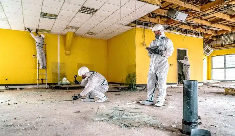 Opérateurs en combinaison blanche de protection dans un local en travaux aux murs jaunes, faux plafond ouvert